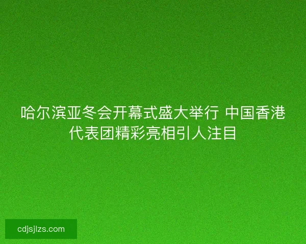 哈尔滨亚冬会开幕式盛大举行 中国香港代表团精彩亮相引人注目